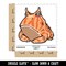 Water Bottle Sticker Set Amazonian Horned Frog Grumpy Orange Surinam Cute Waterproof Vinyl Stickers Pack Decal, Skateboard, Laptop, Car, Window, Bumper - 5 Pack